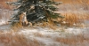 Winter Warmth