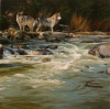 Raging River